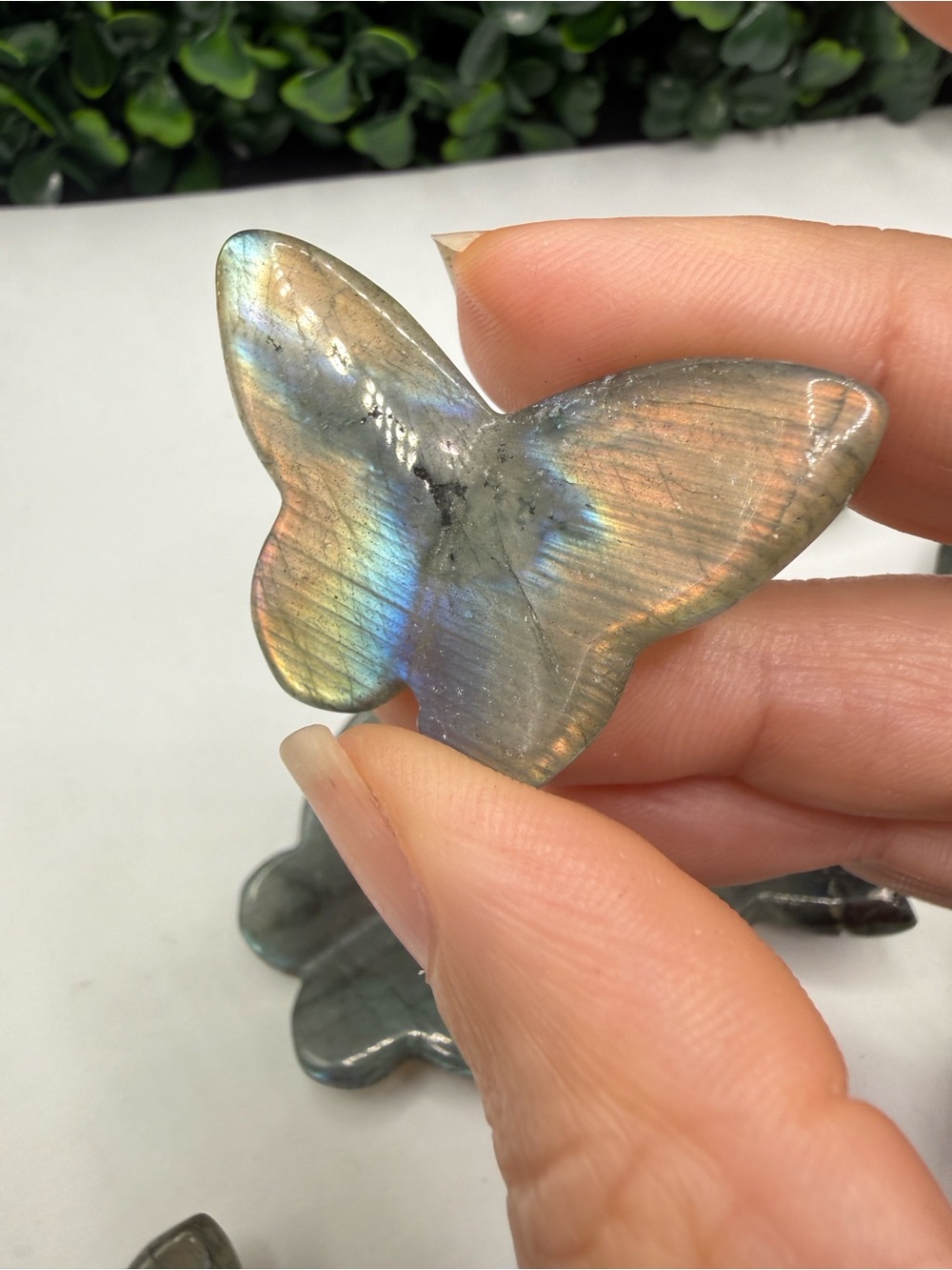 Beautiful and Flashy 3D Labradorite Butterfly Carving